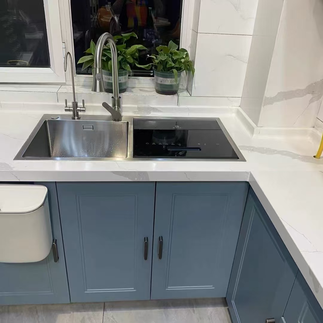 غسالة أطباق مدمجة مع حوض المطب - مراجعة Ultrasonic Dishwasher Sink Integrated وسعره